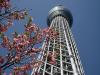 Skytree